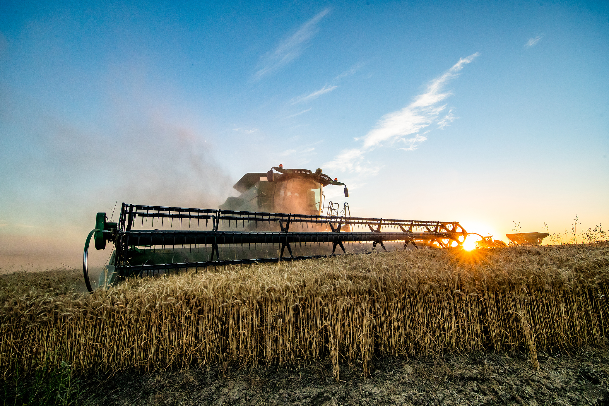 Beautiful sunset image of harvester harvesting wheat
