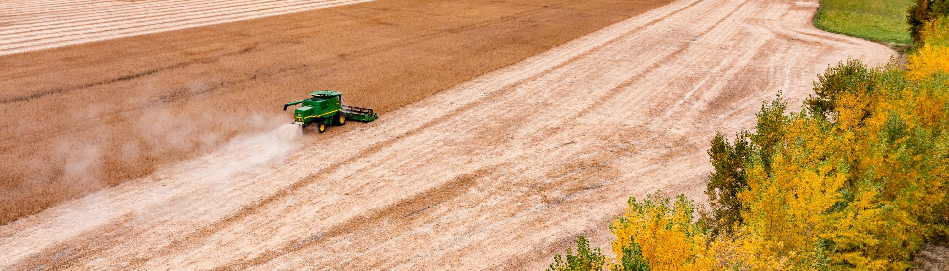 Aerial grain harvest