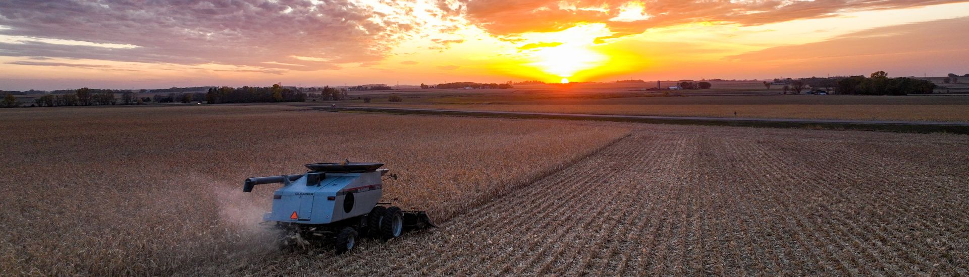 Combine harvesting a field in sunset.