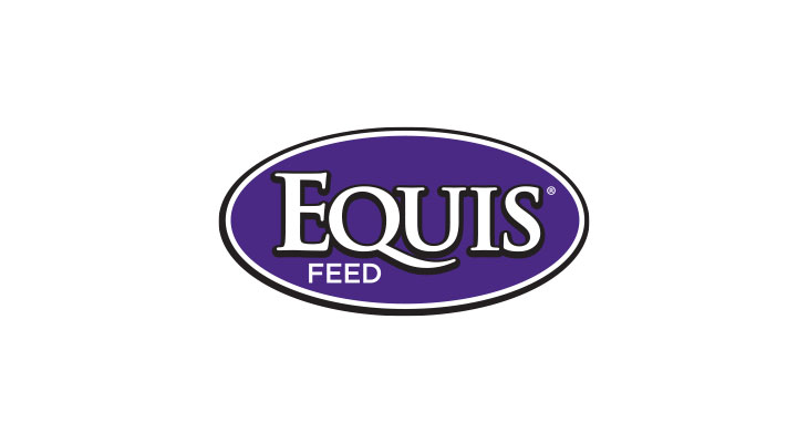 Equis logo