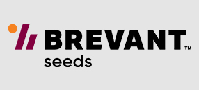 Brevant seeds logo